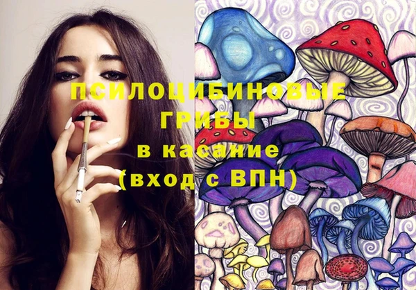 хмурый Нефтекумск