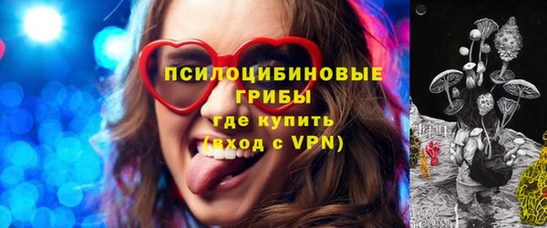 гашик Нефтегорск